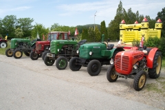 Erdbeerfest-113