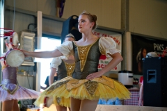 Erdbeerfest-852