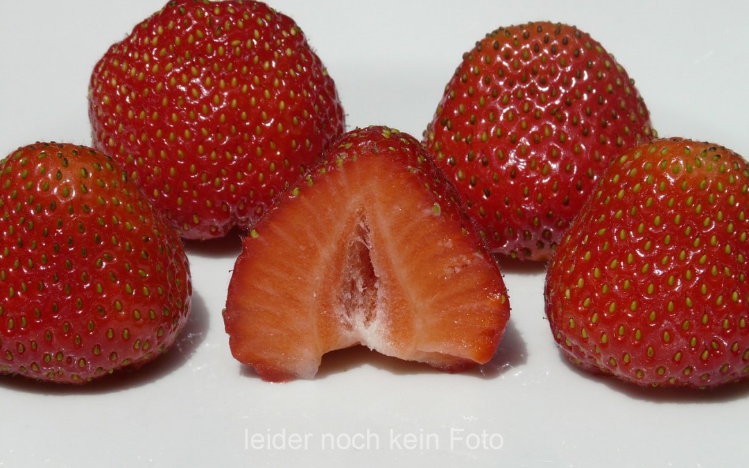 Erdbeer-Topfen-Schnitten